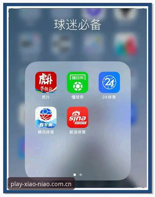 小鸟体育App下载 vs 官网入口：哪个更适合新手用户？
