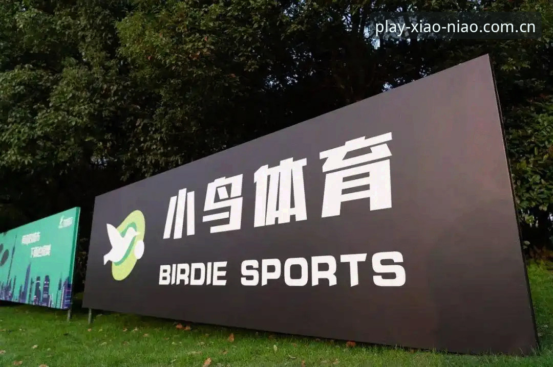 3种创新方法解决小鸟体育下载不了怎么办的困境——从技术突破到全新体验
